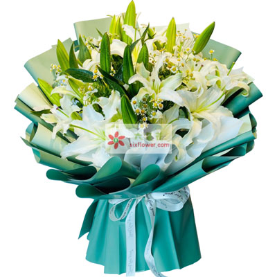 西双版纳8支白色多头百合洋甘菊，如潮的思念