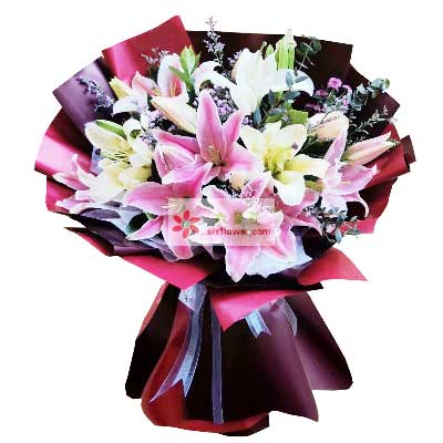 西双版纳8支百合花，天天开心